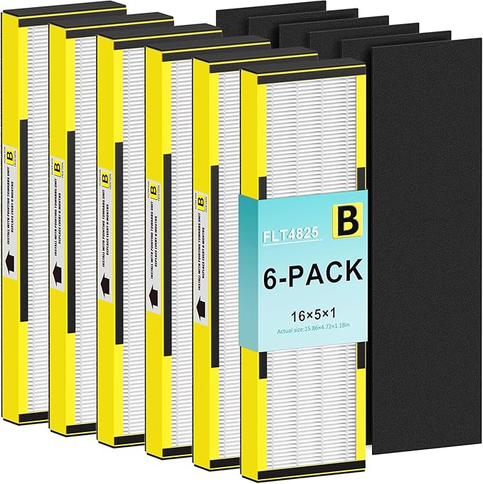 Filter B, FLT4825 Filter Replacement for Guardian AC4825 AC4825E AC4300 AC4800 Air Purifier – 6 True HEPA Filters & 6 Pre-Filters (6-Pack)