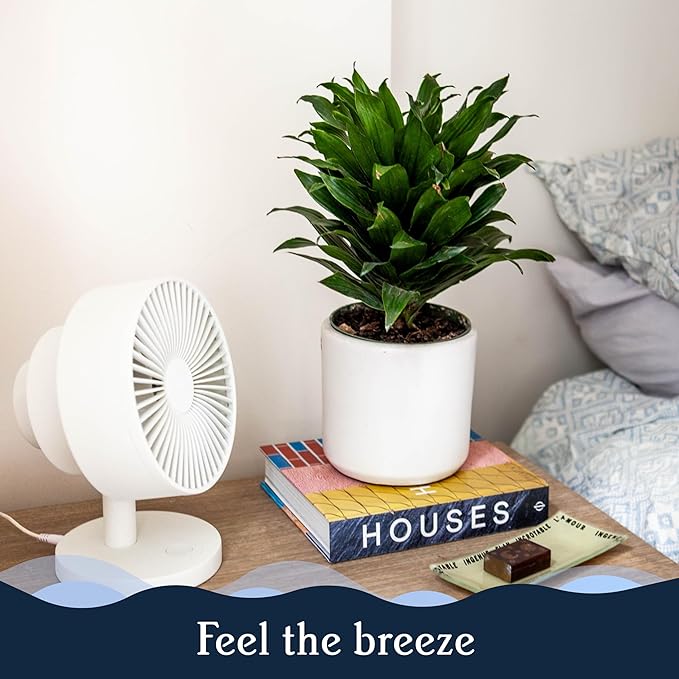 Windmill NEW to Amazon Smart Air Circulator and Fan with Remote and Wi-Fi/App - 18 dB Whisper-Quiet plus Tri-Layer Airflow - Black Color