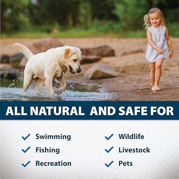 Airmax PondClear Liquid Bacteria for Lakes, Ponds & Water Garden Treatments, Natural Bio Clarifier & Cleaner for Crystal Clear Water, Remove Nutrients & Noxious Odor, Fish, Pet & Plant Safe, 1 Gallon