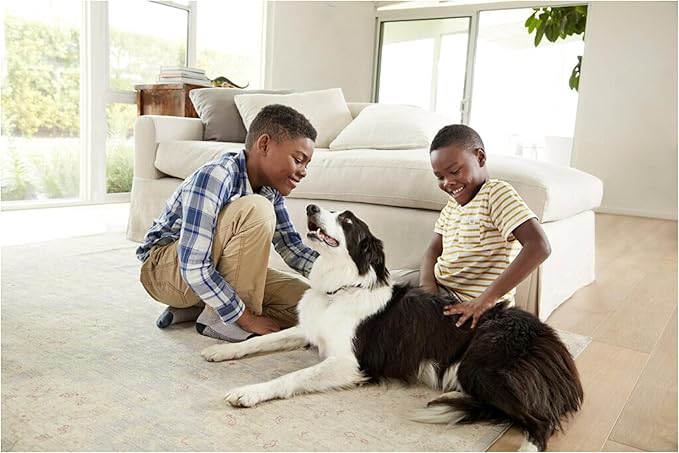Filtrete 12x24x1 AC Furnace Air Filter, MERV 12, MPR 1500, CERTIFIED asthma & allergy friendly, 3 Month Pleated 1-Inch Electrostatic Air Cleaning Filter, 6-Pack (Actual Size 11.69x23.69x0.78 in)