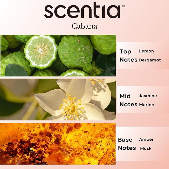 Hotel Diffuser Oil Inspired by 5-Star Hotel Scent - 20 mL 0.67 fl oz - Fragrance Oil Blend Botanical Jasmine, Bergamot & Fresh Marine Notes for Aromatherapy Diffusers - Cabana