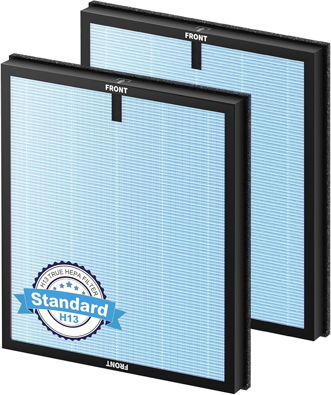 Replacement Filter Compatible with ECOSELF HAP603 Air Puri-Fier, 2-in-1 H13 Grade Filter with Active Carbon, 2 Pack HAP603 Filter, Blue