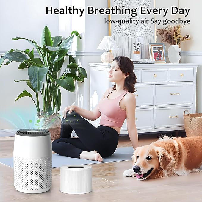 Core Mini Replacement Filter Compatible with LEVOIT Core Mini P Air Purifier, 3-in-1 High-Efficiency H13 True HEPA Activated Carbon Filter, Replace Part #Core Mini-RF, 2 Filter & 14 Fragrance Sponge