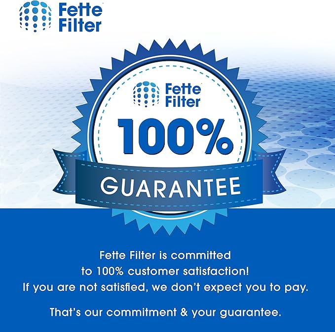 Fette Filter - Replacement Filter Set Compatible with Coway Airmega 150 (AP-1019C) & Airmega 160 Air Purifiers, 2-Pack of 2 in one H13 HEPA.