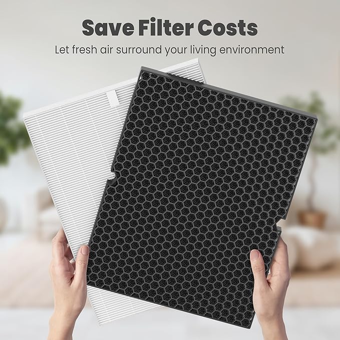 116130 Replacement Filter H for Winix 5500-2 AM80 Plasmawave Air Purifier, Includes 1 Pack True HEPA Filter and 1 Pack Activated Carbon Filter