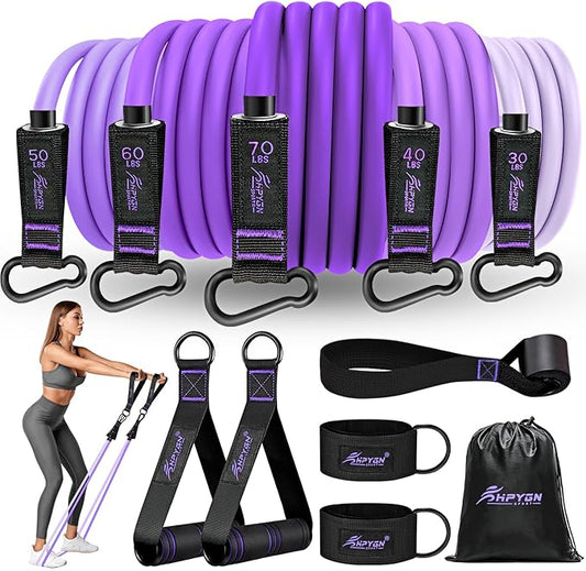 HPYGN Resistance Bands, Exercise Bands with Handles, Fitness Bands, Workout Bands with Door Anchor and Ankle Straps, for Heavy Resistance Training, Physical Therapy, Shape Body, Yoga, Home Workout Set-FlexoryFit