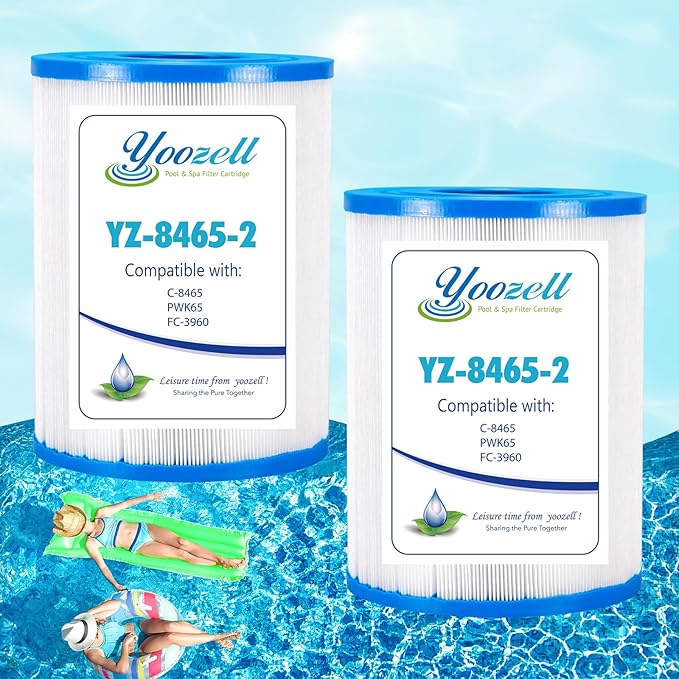 C-8465 Spa Filter Cartridge Replaces for Watkins 31114, PWK65，Filbur FC-3960, 71827, 71828, Darlly 80651 Hot Tub Filter, Watkins 65 Sq.Ft Hot Spring Spa Filter, 2 Pack