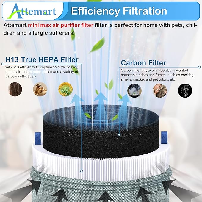 Replacement Filters Compatible with Blueair Blue Pure Mini Max Air Purifier, True H13 Filter and Carbon Filter, 2 Pack