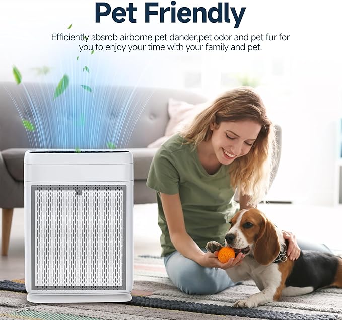 F1 Replacement Filter Compatible with Ameifu F1 Double-Sided Air Filter Purifier for Home Large Room Up to 2200 Sq Ft, 3-in-1 Filter of Premium Filters and Activated Carbon, 2 Pcs (1 Set)