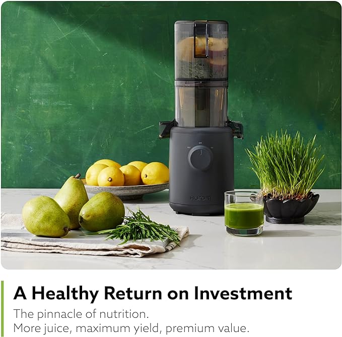Hurom H310 Easy Clean Slow Juicer, Lavender | Compact | Quiet Motor | Hopper Fits Whole Produce | Scrub Free | Easy Assembly | Cold Press Masticating Juicer-FlexoryFit