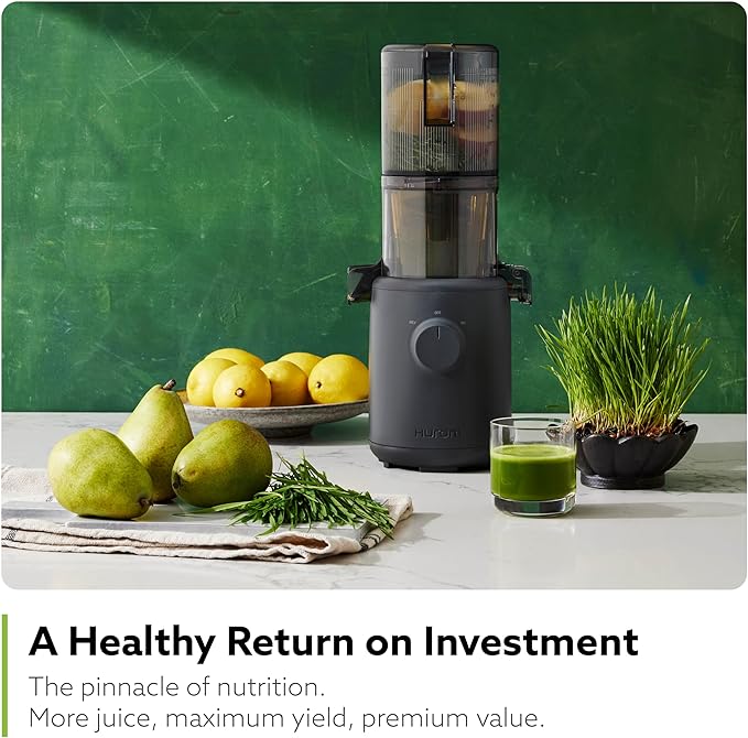 Hurom H310A Personal Self Feeding Slow Masticating Juicer (Matte Black)-FlexoryFit
