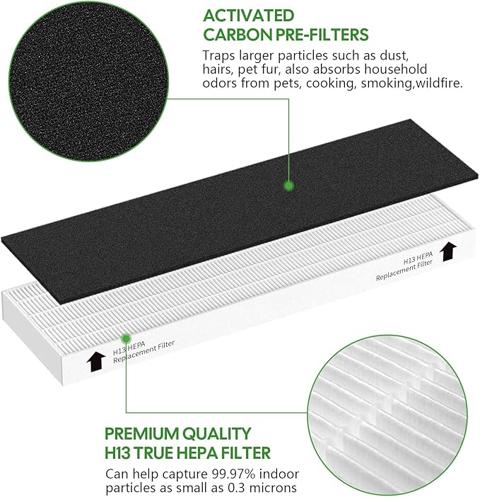 2 Pack Replacement Filter for Fellowes AeraMax 90/100/DX5/DB5 Purifier, Fits Part# 9287001 & 9324001, 2 Filter and 6 Carbon filter