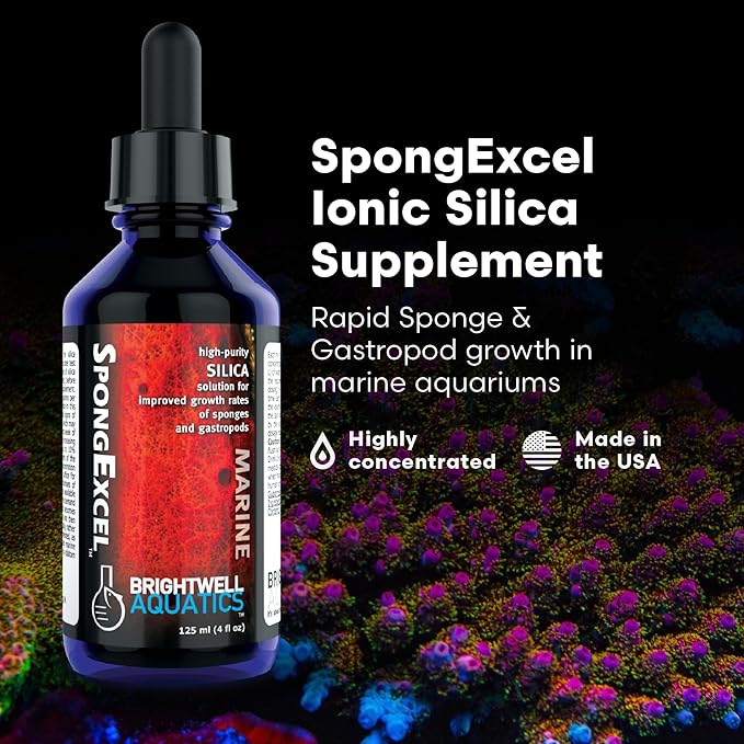 Brightwell Aquatics SpongExcel – Ionic Silica Solution for Marine Sponge & Gastropod Growth in Marine Aquariums, Boosts Water Quality, 2 L