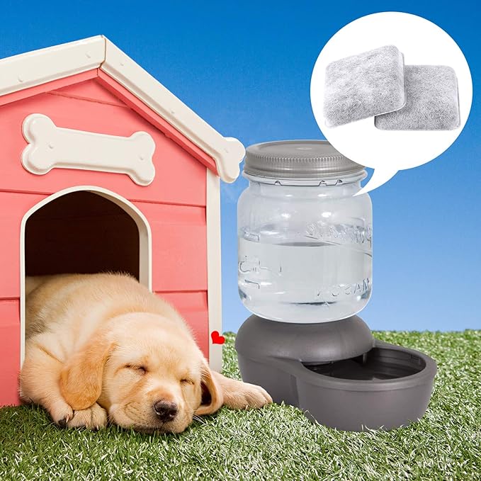 Dog Water Filter Replacement, Dog Water Bowl Filter, Pet Water Filter Compatible with Petmate Replendish Mason Automatic Gravity Waterer Bowls for Cats and Dogs, 6 Pack