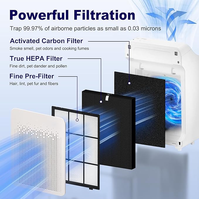 C545 True HEPA Replacement Filter S Compatible with Winix C545 Air Purifier 1712-0096-00 and 2522-0058-00, 2 x Black H13 True HEPA Filter + 8 x Black Activated Carbon Filters
