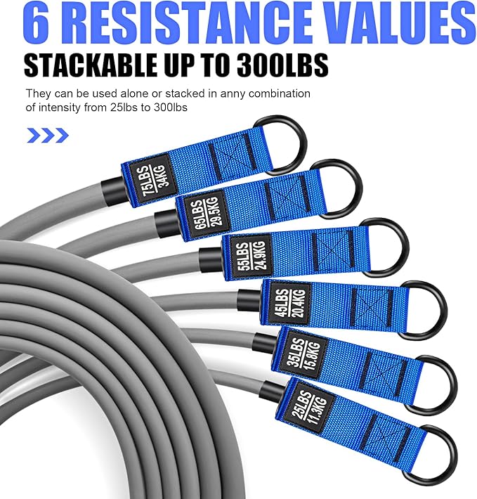 HPYGN Resistance Bands, Heavy Exercise Bands with Handles, Fitness Bands for Working Out, Workout Bands for Men, Weight Bands Set for Muscle Training, Strength, Slim, Yoga, Home Gym Equipment-FlexoryFit