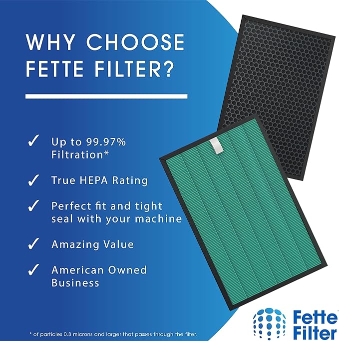 Fette Filter - Replacement Filter Set Compatible with Coway Airmega 150 (AP-1019C) & Airmega 160 Air Purifiers, 2-Pack of 2 in one H13 HEPA.
