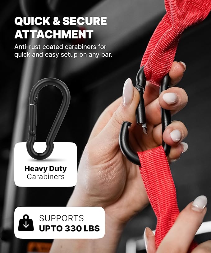 DMoose Fitness Hanging Ab Straps for Pull Up Bar & Core Strength Training - Soft Padded Exercise Straps for Ab Swing & Leg Raises, Hang Bar Strap with 2 Steel Carabiners - Abs Equipment for Home & Gym-FlexoryFit