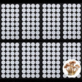 Zonon 256 Pieces Synthetic Filter Paper Stickers 20 mm 0.3 ?m Synthetic Filter by Zonon