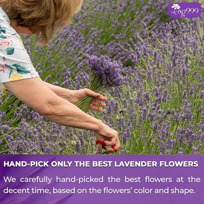 120 Lavender Flower Tea Bags, 100% Natural & Pure from Lavender Flowers. Loose Flower Lavender Herbal Tea. Lavender Flower Tea. No Sugar, No Caffeine, No Gluten, Vegan.-FlexoryFit