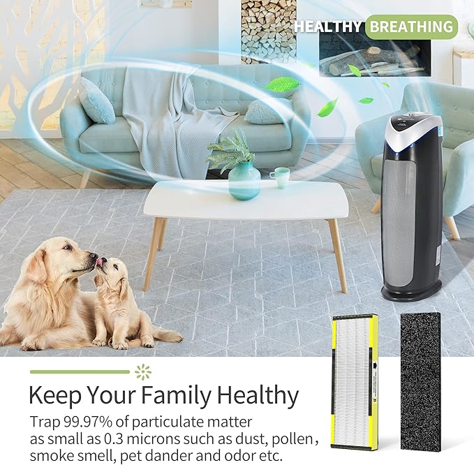 AC4825 HEPA Filter B Replacement Compatible with Germ-Guardian FLT4825 Filter B for Models CDAP4500BCA CDAP4500WCA AC4300BPTCA AC4300WPT AC4900CA AC4825DLX and AP2200CA, 4 HEPA+6Pre-Filter