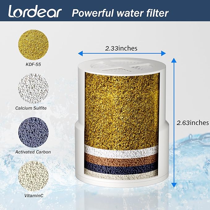 Lordear Filtered Shower Head 8 Inch Stainless Steel Square Shower Head, High Pressure Showerhead for Hard Water,Ceiling or Wall Mounted Waterfall Shower (Matte Black)