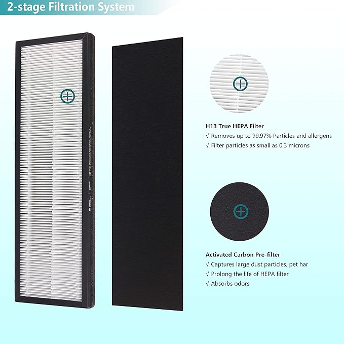 NEA-F1 True HEPA Replacement Filter, Compatible with Eureka NEA120 Air Purifier and Toshiba Air Purifier CAF-W36USW, 2-Pack