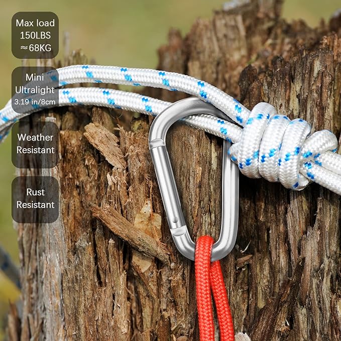sprookber 3" Aluminum Carabiner D Ring, Caribeener Clips, Spring Snap Hook for Keychain Clip, Set of 10