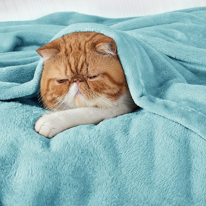 Bedsure Fleece Bed Blankets Queen Size River Blue - Soft Lightweight Plush Fuzzy Cozy Luxury Blanket Microfiber, 90x90 inches