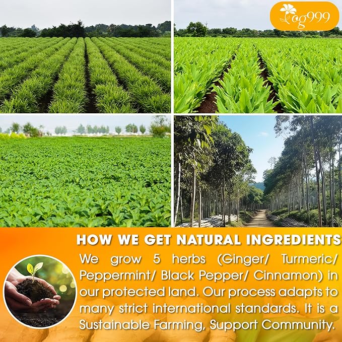 120 Tea Bags - Anti-Inflammaheb Loose Leaf Tea, 100% Natural from Ginger, Turmeric, Peppermint, Black Pepper, Cinnamon. Made with Natural Material Tea Bags. No Sugar, No Caffeine, No Gluten, Vegan.-FlexoryFit