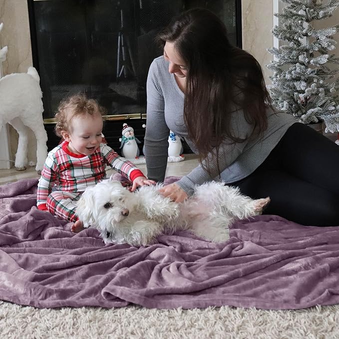 Bedsure Fleece Blankets Twin Size Fog Purple - 300GSM Lightweight Plush Fuzzy Cozy Soft Blanket for Bed, Sofa, Couch, Travel, Camping, 60x80 inches
