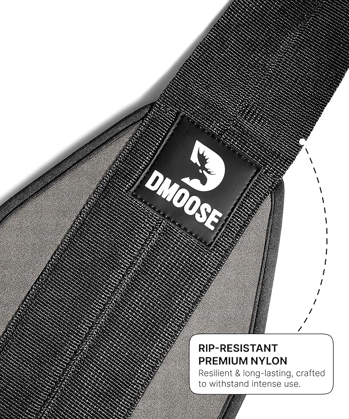 DMoose Fitness Hanging Ab Straps for Pull Up Bar & Core Strength Training - Soft Padded Exercise Straps for Ab Swing & Leg Raises, Hang Bar Strap with 2 Steel Carabiners - Abs Equipment for Home & Gym-FlexoryFit