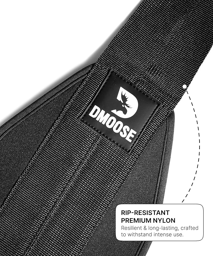 DMoose Fitness Hanging Ab Straps for Pull Up Bar & Core Strength Training - Soft Padded Exercise Straps for Ab Swing & Leg Raises, Hang Bar Strap with 2 Steel Carabiners - Abs Equipment for Home & Gym-FlexoryFit