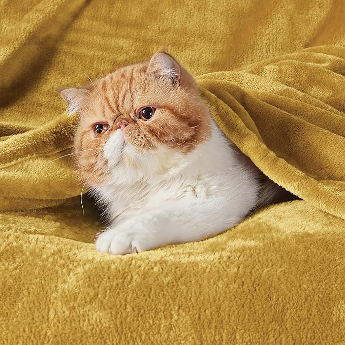Bedsure Fleece Blanket Twin Size Yellow - 300GSM Lightweight Plush Fuzzy Cozy Soft Warm Blanket for Bed, Sofa, Couch, Travel, Camping, 60x80 inches