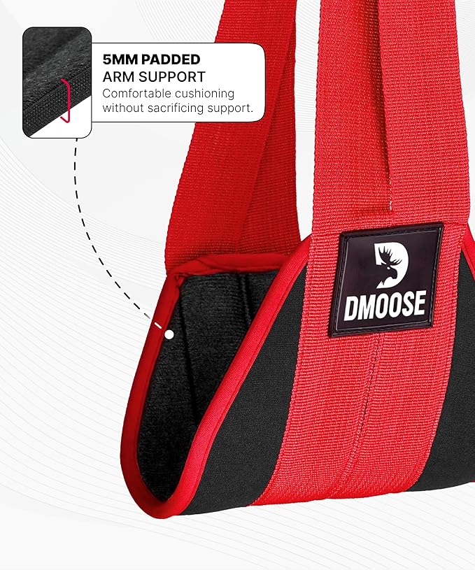 DMoose Fitness Hanging Ab Straps for Pull Up Bar & Core Strength Training - Soft Padded Exercise Straps for Ab Swing & Leg Raises, Hang Bar Strap with 2 Steel Carabiners - Abs Equipment for Home & Gym-FlexoryFit