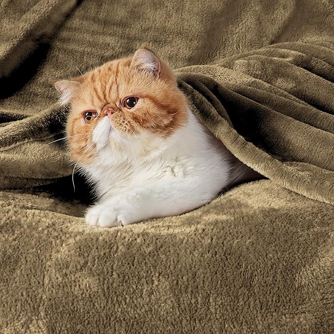 Bedsure Fleece Blanket Twin Size Camel - 300GSM Lightweight Plush Fuzzy Cozy Soft Warm Blanket for Bed, Sofa, Couch, Travel, Camping, 60x80 inches