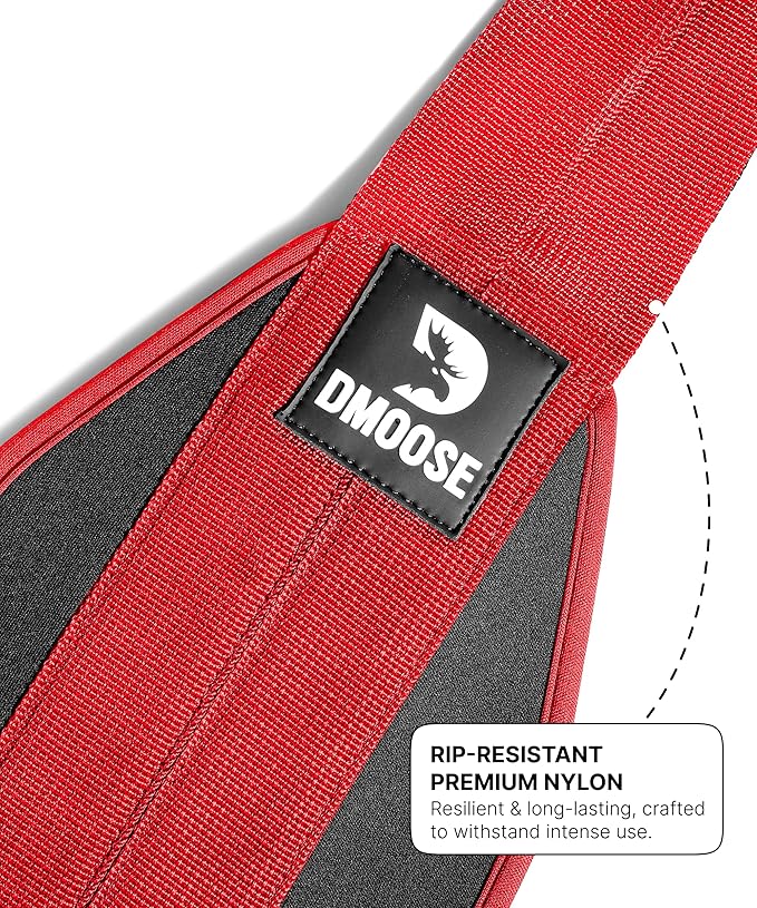 DMoose Fitness Hanging Ab Straps for Pull Up Bar & Core Strength Training - Soft Padded Exercise Straps for Ab Swing & Leg Raises, Hang Bar Strap with 2 Steel Carabiners - Abs Equipment for Home & Gym-FlexoryFit